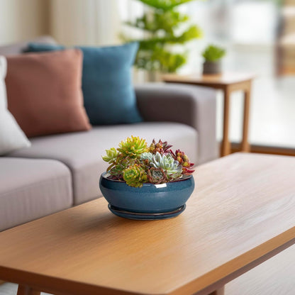 SQOWL Succulent Pots - 6 Inch Ceramic Bonsai Pots, Shallow Planter with Drainage Hole and Saucer