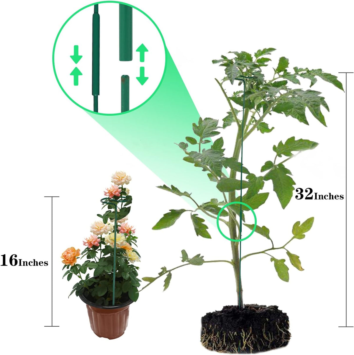 4 Pack Plant Stakes,Plant Support Stakes for Two Sizes(16 or 32 Inches),Plant Stakes for Outdoor