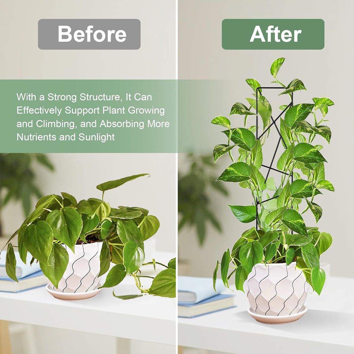 17.5 Inch Indoor Plant Trellis for Climbing Plants,Metal Trellis,Small Garden Trellis for Potted