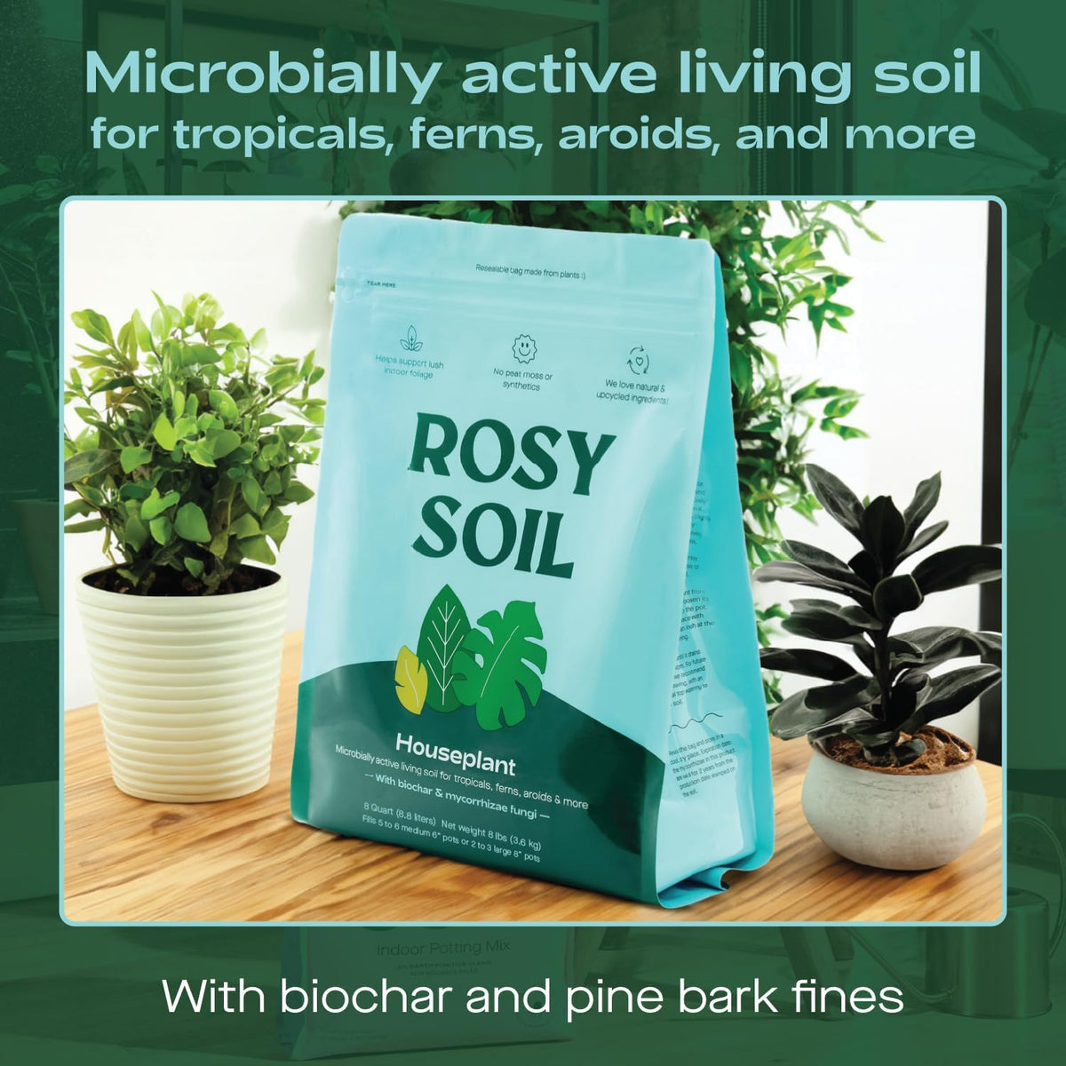 Rosy Soil Indoor Potting Soil for House Plants, 2 x 8 qrt - Organic Potting Soil Mix for Indoor