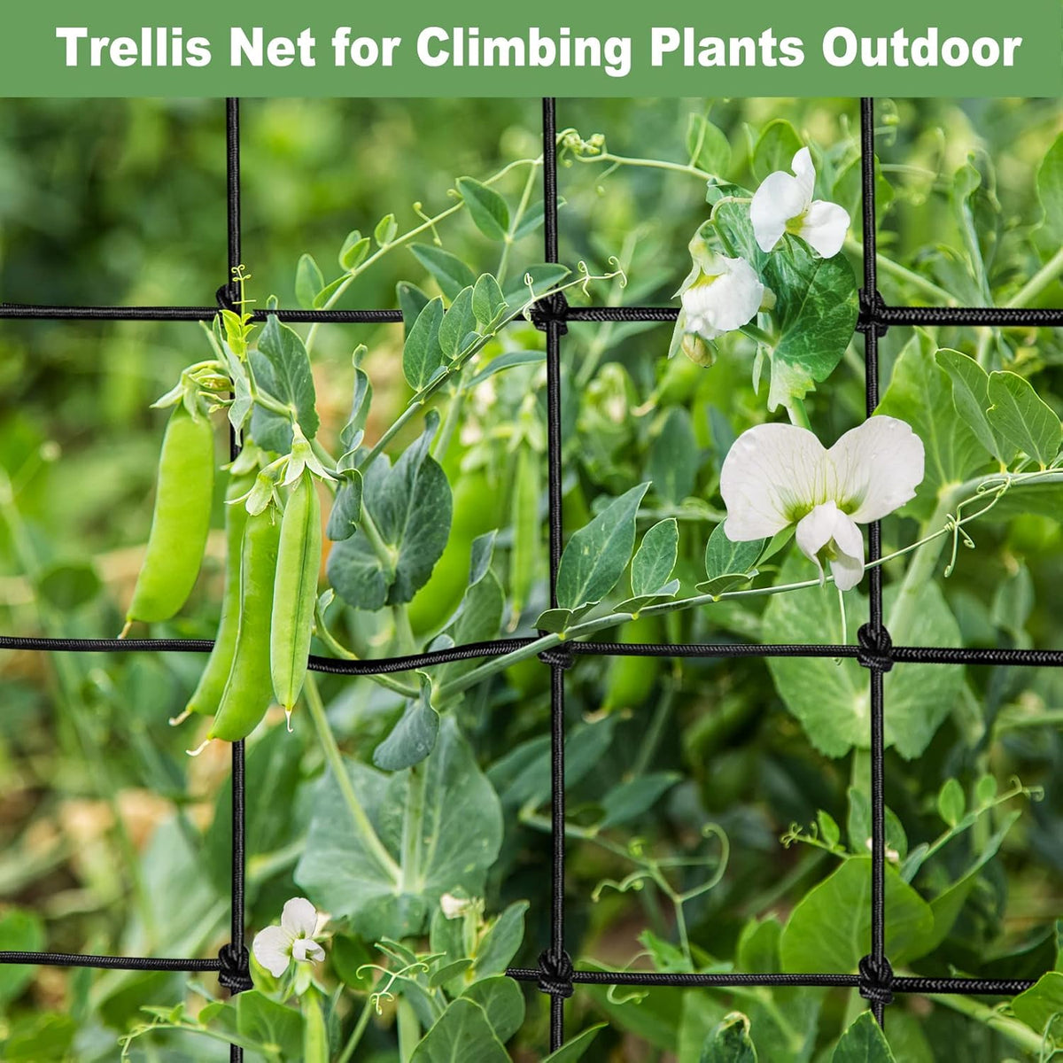 2x4 Trellis Net for Grow Tent, Stretchy Scrog Net Heavy Duty Trellis Netting with Hooks for