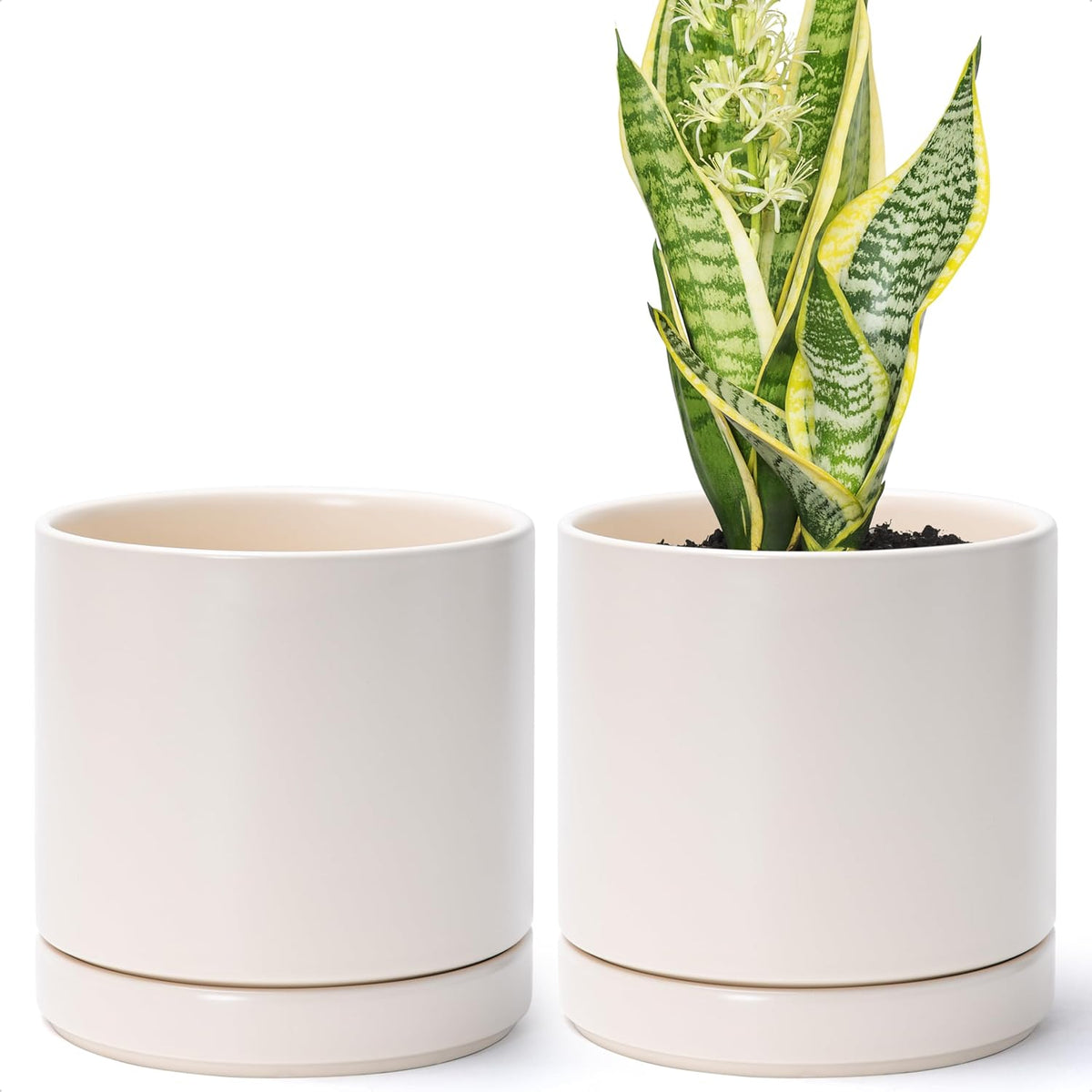 D'vine Dev Set of 2 Plants Pots, 6.5 Inch Ceramic Planter Pot for Plants with Drainage Hole and