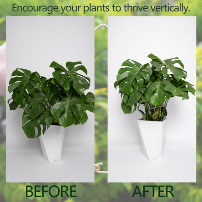 5PCS 11 * 9.4 Inch Monstera Plant Support Stem - Premium Adjustable Leaf Holder & Fishbone Cactus
