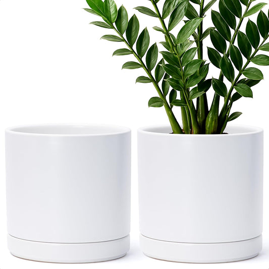 D'vine Dev Set of 2 Plants Pots, 8.2 Inch Ceramic Planter Pot for Plants with Drainage Hole and