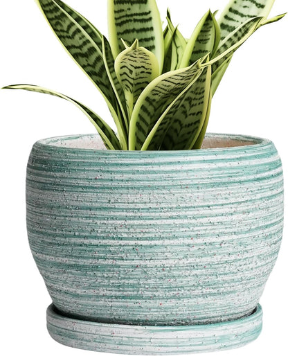 SQOWL Ceramic Plant Pots - 6 Inch Planter with Drainage Hole and Tray, Round Flower Pot for Indoor