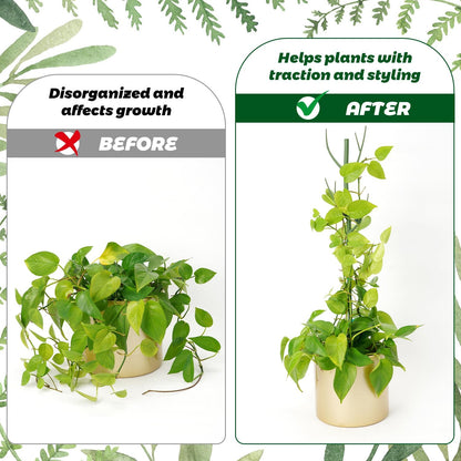 8 Pack Monstera Plant Support Stakes, 27.5inch Detachable Twig Plant Support Stakes with 12 Orchid
