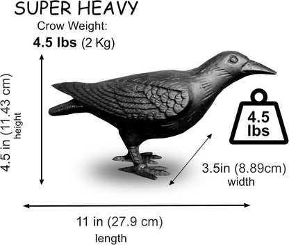 NACH Crow Decor, 4.5 x 11 x 3.5 inch, Cast Iron Black Raven Statue, Raven Decor for Outside - Head