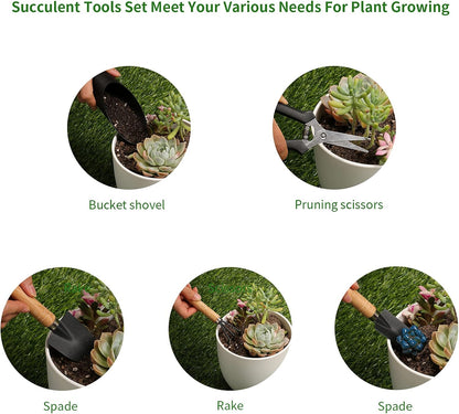 5Pcs Succulent Tools,Mini Garden Tools,Pruning Scissors as Plant Accessories, Gardending Hand Tools