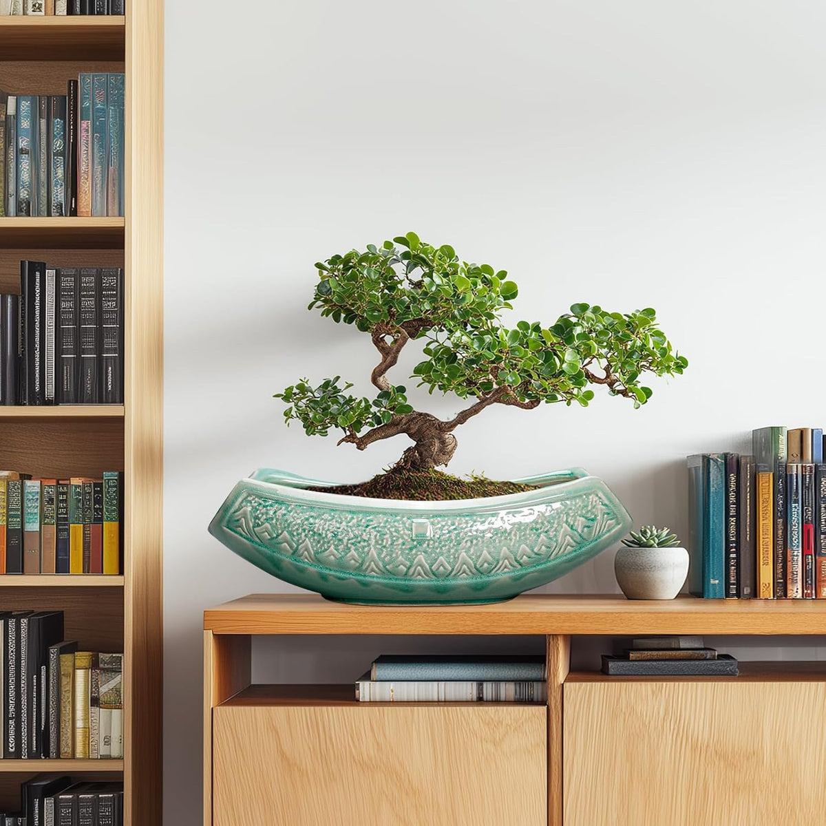 Bonsai Tree Pot - 18 Inch Ceramic Succulent Pots for Indoor Outdoor, Large Bonsai Planter with