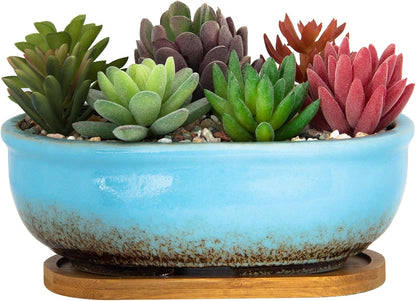 Succulent Pots, 7.9 Inch Long Rectangular Succulent Planters with Drainage Tray, Shallow Planters