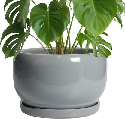 SQOWL 10 Inch Plant Pot - Ceramic Planter for Indoor Plants, Round Ceramic Flower Pot with Drainage