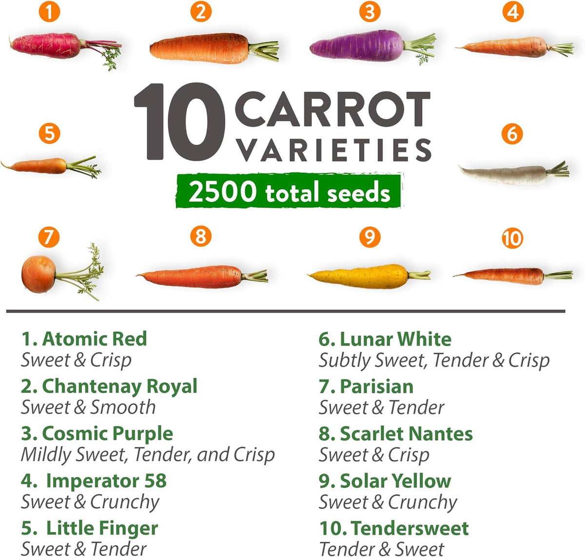 HOME GROWN 𝗨𝗦𝗔 𝗣𝗥𝗘𝗠𝗜𝗨𝗠 Rainbow Carrot Seeds – 2500+ Heirloom Seeds (10 Varieties) – High