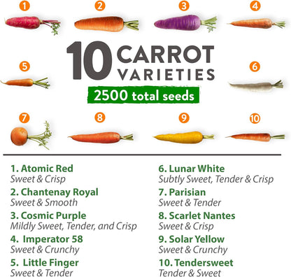 HOME GROWN 𝗨𝗦𝗔 𝗣𝗥𝗘𝗠𝗜𝗨𝗠 Rainbow Carrot Seeds – 2500+ Heirloom Seeds (10 Varieties) – High