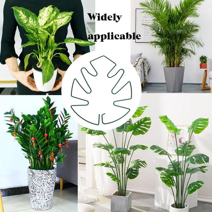 Spiritlele 5 Pcs Green Plant Stem Support Holder Set Monstera Plant Support Clamp Growth
