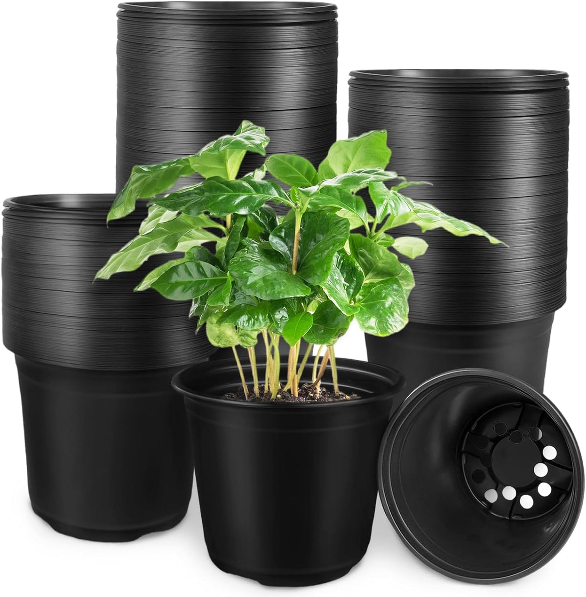 Anyumocz 120Pcs 0.5 Gallon Plant Nursery Pots,Plastic Pots with Drainage Holes,Garden Flower