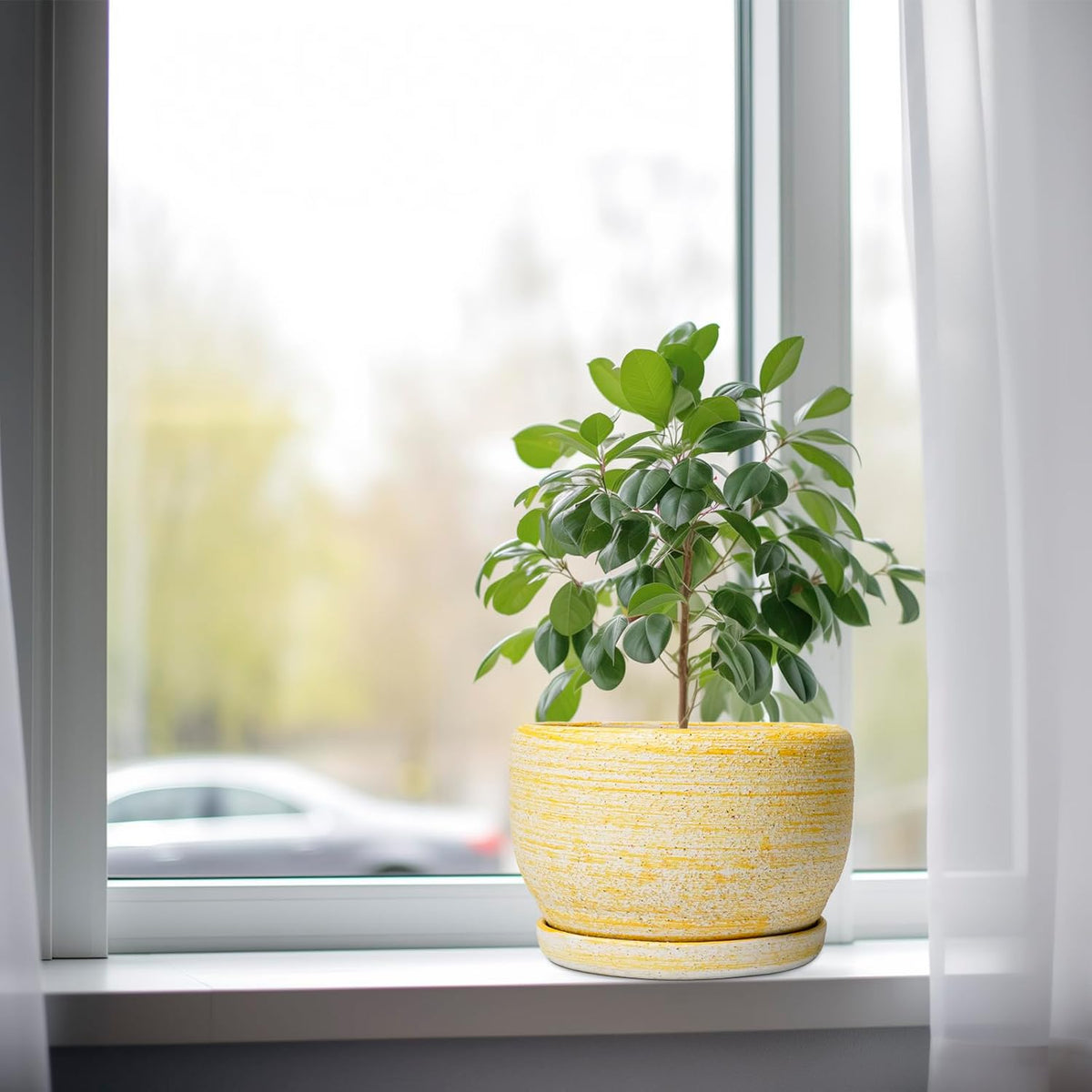 SQOWL Ceramic Flower Pots - 8 inch Plant Pot Indoor with Drainage Hole and Saucer, Modern Ceramic