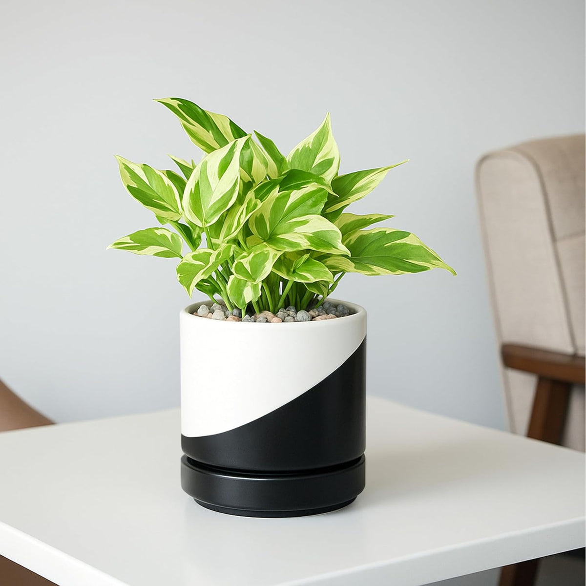 D'vine Dev 4.7 Inch Ceramic Planter Pot with Drainage Hole and Saucer, Indoor Cylinder Round