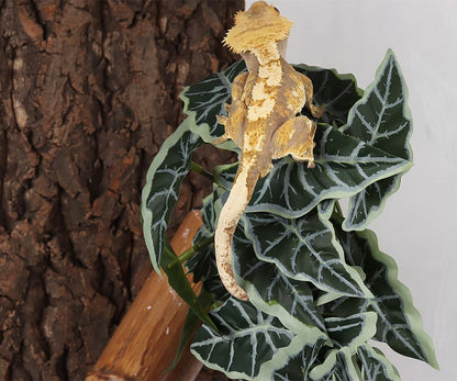 Reptile Plants for Terrarium, Amphibian Habitat Decor Artificial Hanging Plants with Suction Cup