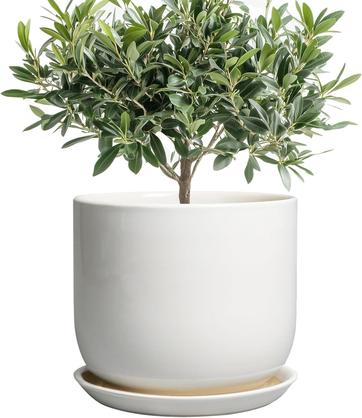 Ceramic Plant Pot - Modern 8 Inch Round Planter for Indoor Outdoor Plants with Drainage Hole and