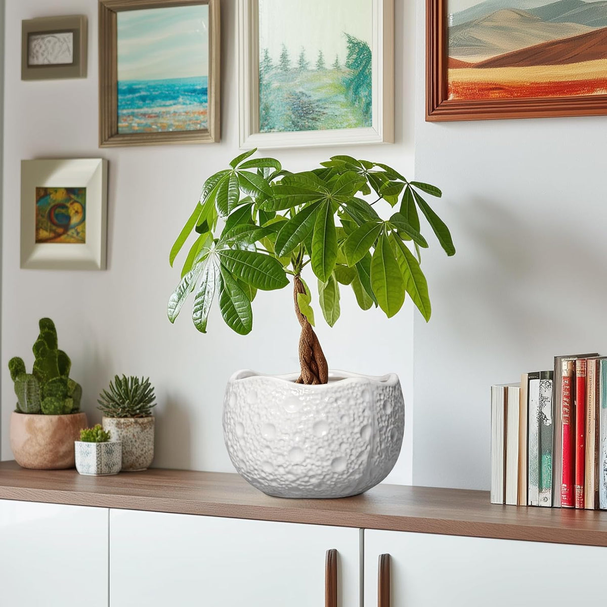 Ceramic Plant Pot - 8 Inch Round Planter with Drainage Hole, Decorative Plant Pots for Indoor