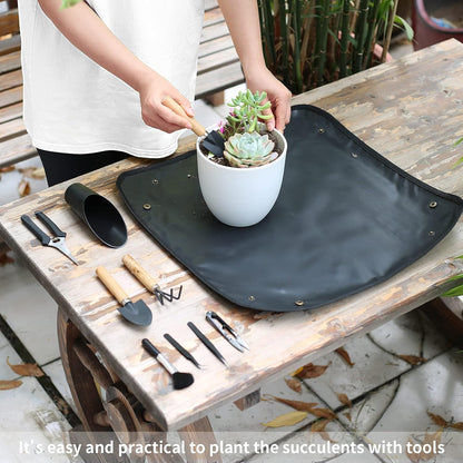 11Pcs Succulent Tools,Mini Garden Tools,Succulent Watering Tool as Plant Accessories,Succulent