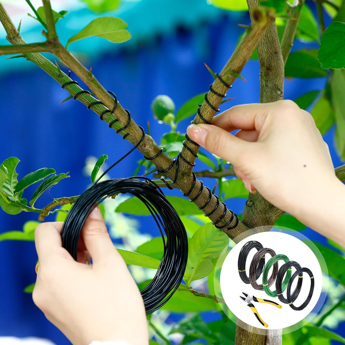 5 Roll Bonsai Wires, Anodized Aluminum Bonsai Training Wire with Wire Cutter, 3 Colors and 3 Sizes