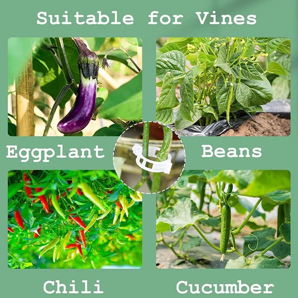 Plant Support Clips, Reusable Garden Clips Plant Holder Clips, Plastic Tomato Vine Grape Clips for