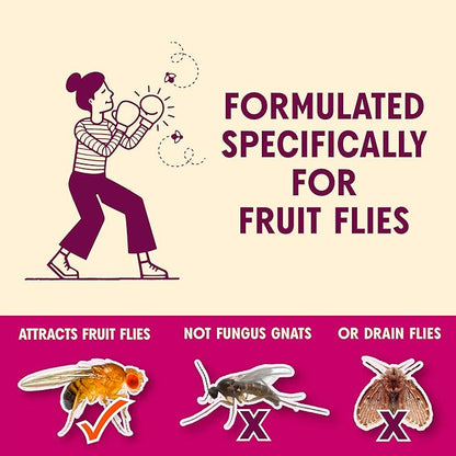 Aunt Fannie's FlyPunch Fruit Fly Trap for Indoor and Kitchen Use, Ready to Use, Made with Plant