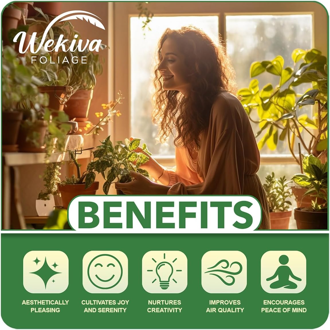 Berry Variety Pack - 4 Live Starter Plants - A Selection of Blueberry, BlackBerry, and Raspberry