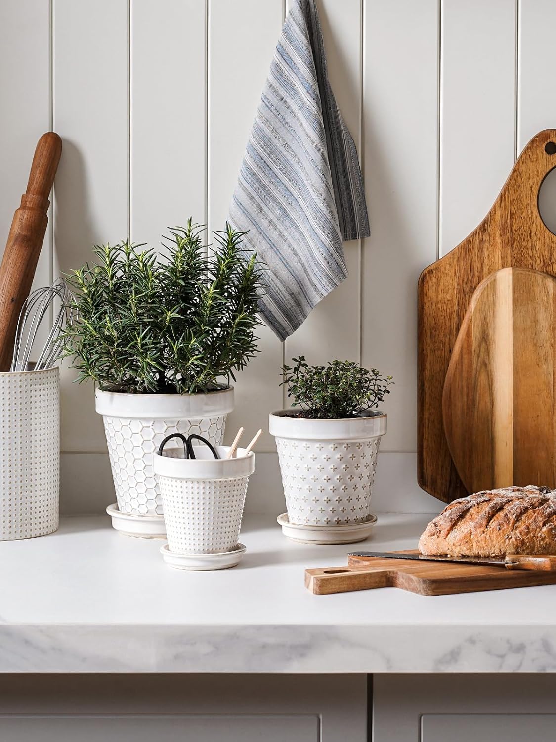 LE TAUCI Ceramic Plant Pots, 6 Inch Flower Pot with Drainage Hole & Saucer, Embossed Planter Pots