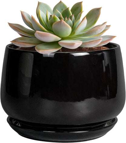 G EPGardening 6 Inch Planter - Ceramic Pot for Plants, Ceramic Planter with Drainage and Saucer
