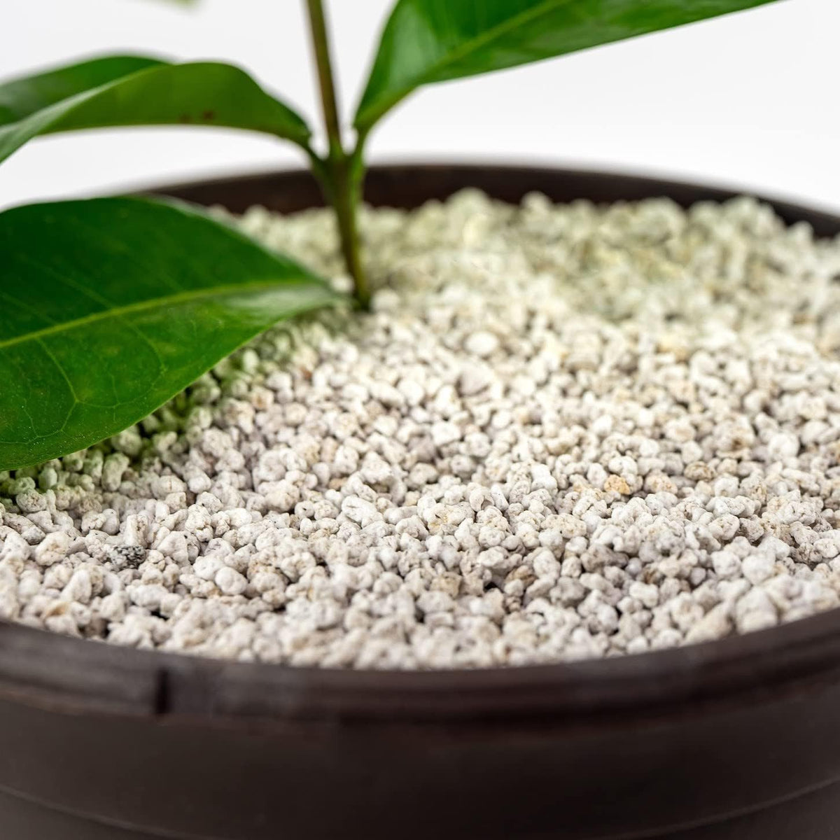 Gardenera Organic Perlite — Medium/Fine Grade Horticultural Soil Amendment for Indoor & Outdoor