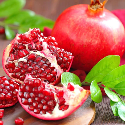 Pomegranate Salavatski Live for Sale (4 Pack) | Easy to Grow Plants | Edible Fruit Plant for