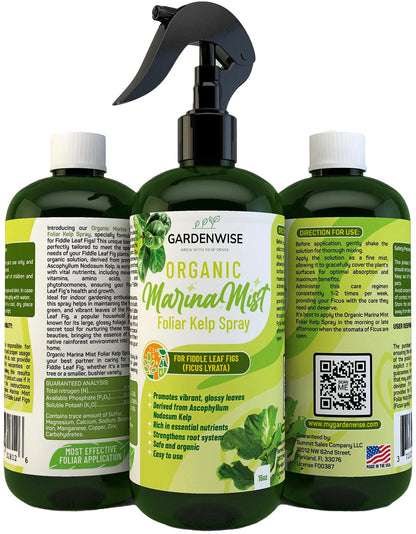 Organic Marina Mist Foliar Spray for Fiddle Leaf Fig and Other Ficus Trees | Micro Nutrients for