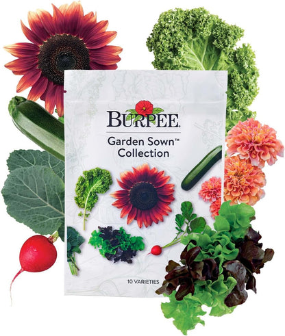 Burpee Garden Sown Flower, Herb & Vegetable 10 Packs of Non-GMO Basil, Lettuce, Cucumber, Radish