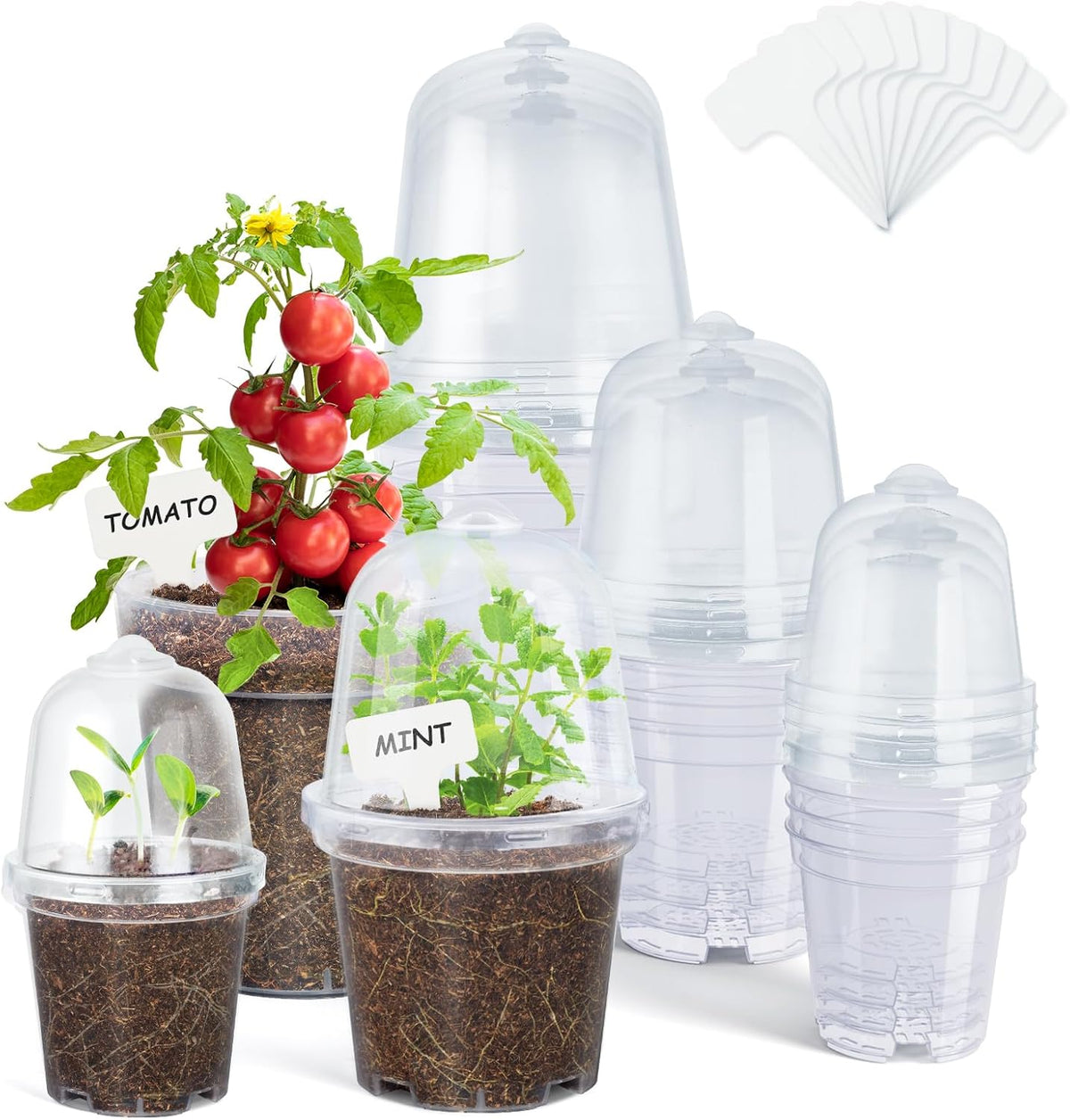 homenote Clear Nursery Pots for Plants,3/4/5 Inch Plant Pot for Planting with Humidity Domes