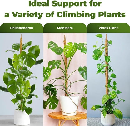 2 Pack 63 Inch Bendable Moss Pole Monstera Plant Support Stakes for Indoor Plants - Tall Moss Stick
