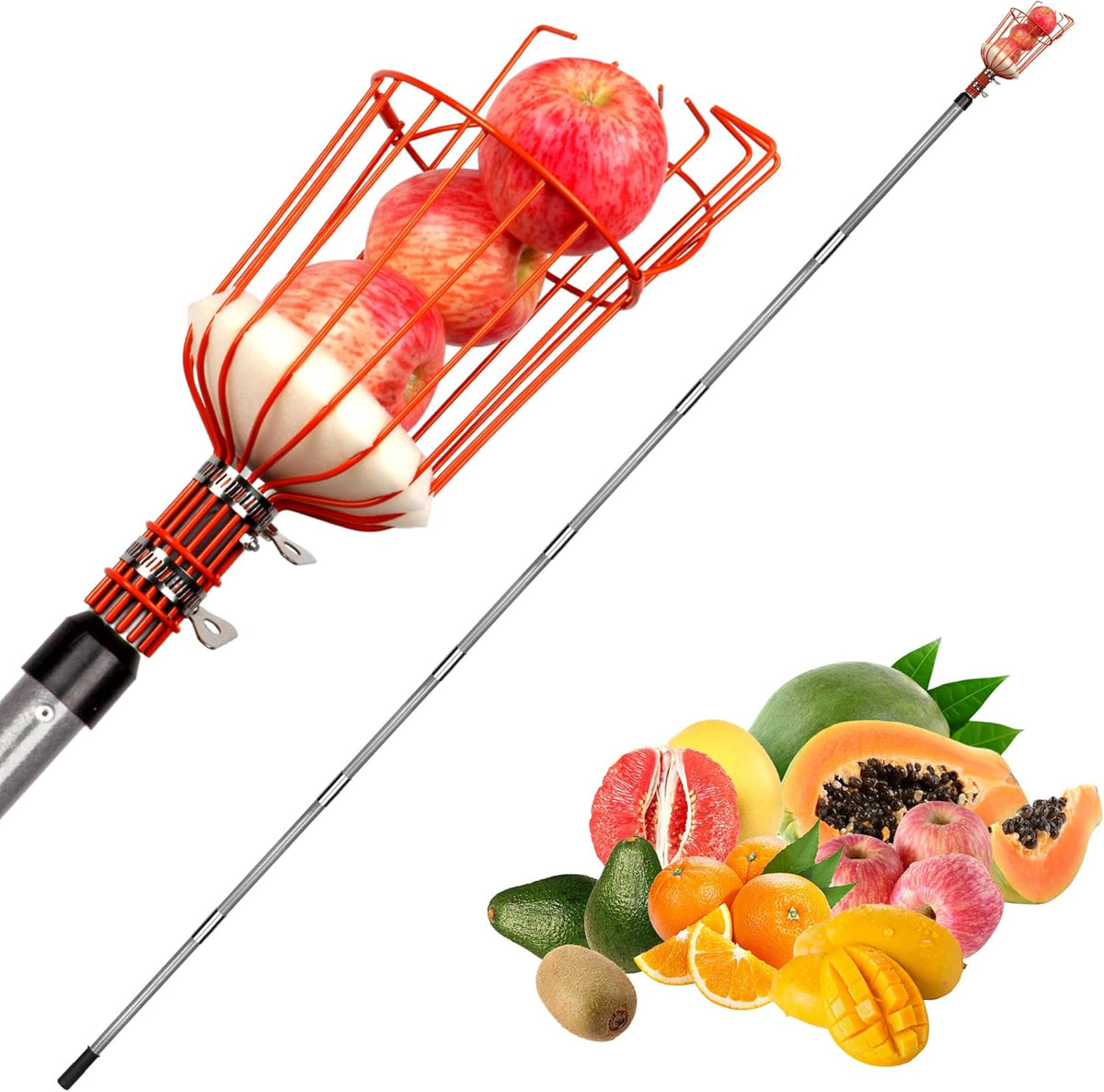 Walensee 23FT Fruit Picker, Adjustable Fruits Picker Tool with Fiberglass Pole, Big Basket and