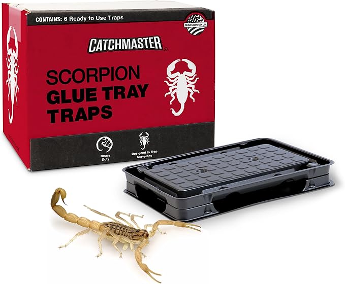 Catchmaster Scorpion Glue Tray Traps 6-Pack, Adhesive Scorpion Killer for Home, Simple Insect Traps