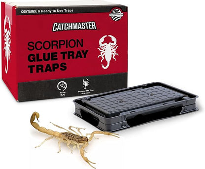 Catchmaster Scorpion Glue Tray Traps 6-Pack, Adhesive Scorpion Killer for Home, Simple Insect Traps