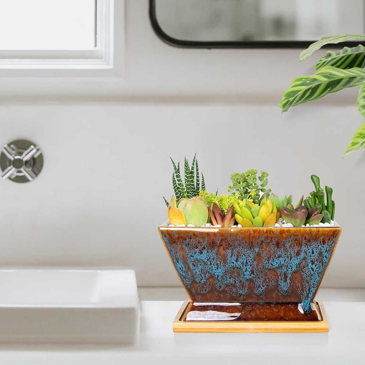 ARTKETTY Succulent Pots - 7 Inch Large Plant Pot with Drainage Tray, Shallow Ceramic Pots for