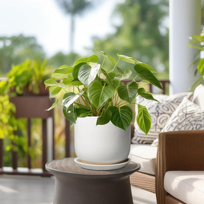 Ceramic Plant Pot - Modern 8 Inch Round Planter for Indoor Outdoor Plants with Drainage Hole and