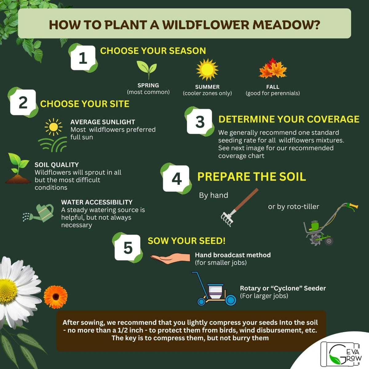 Mini Wildflower Seed Shaker - Bird & Butterfly Garden Seed Mix | 60,000+ Annual & Perennial Flower
