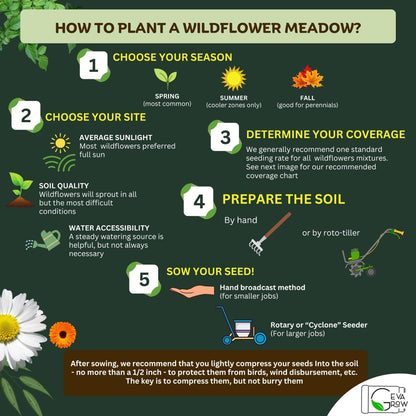 Mini Wildflower Seed Shaker - Bird & Butterfly Garden Seed Mix | 60,000+ Annual & Perennial Flower