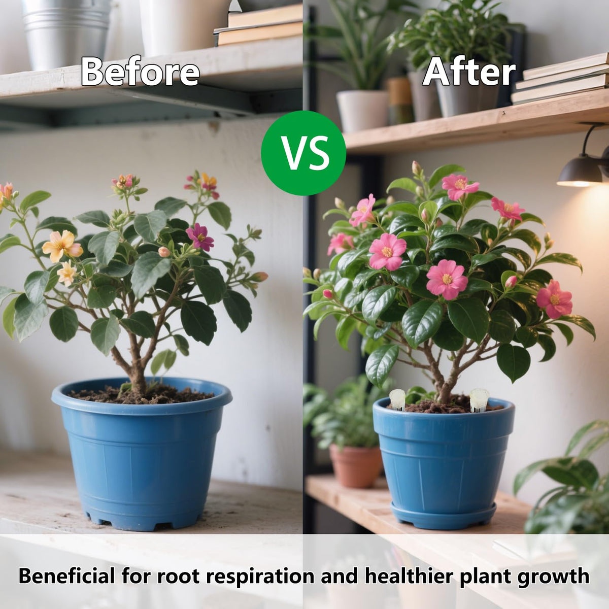 Belit 16 Pcs Plant Root Ventilation Stakes, Breathable Stake Beneficial for Root Respiration