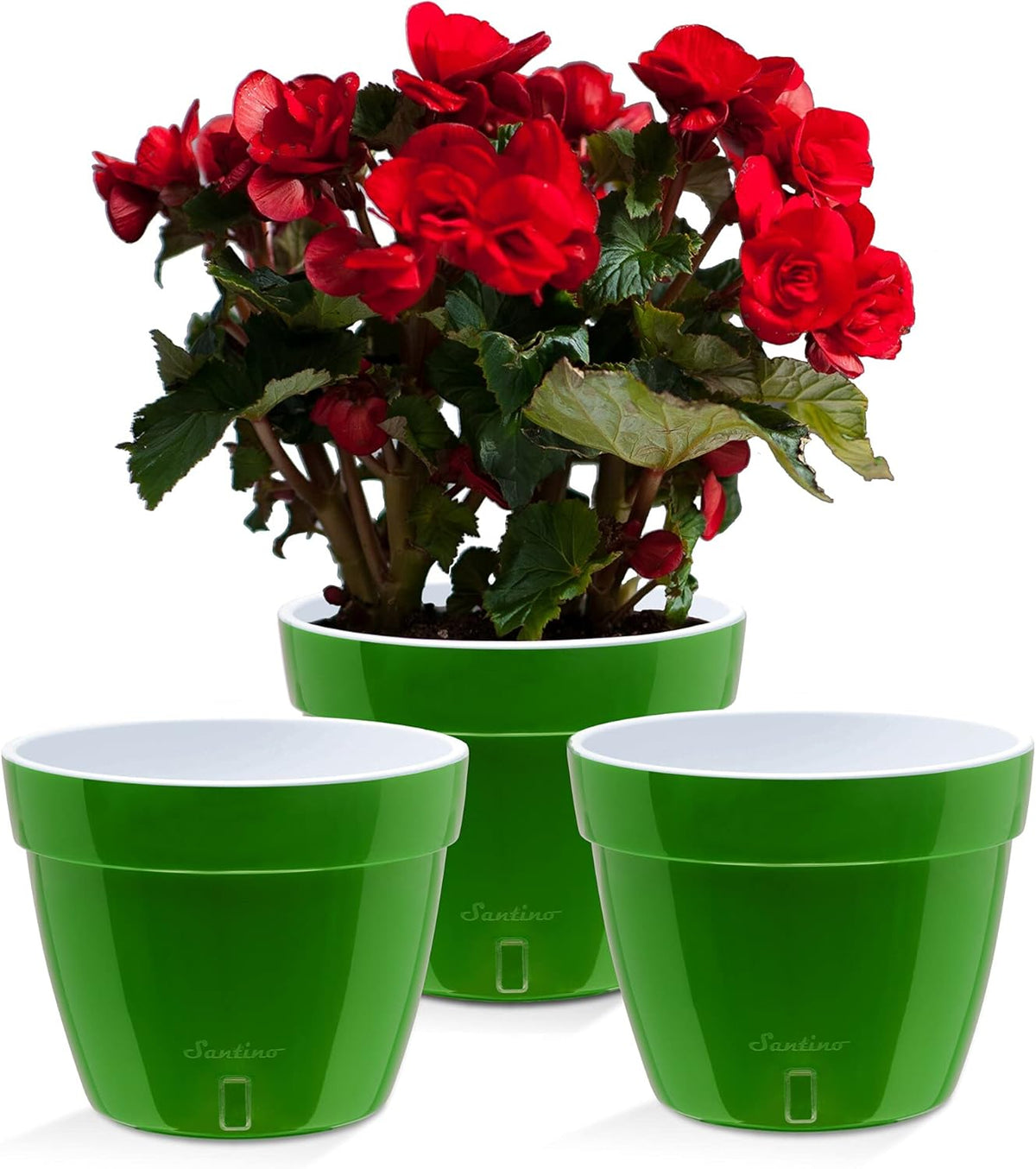 Santino ASTI 9.2 Inch Self Watering Planter Green-Gold/White (Set of 3) for Indoor Plants - Premium