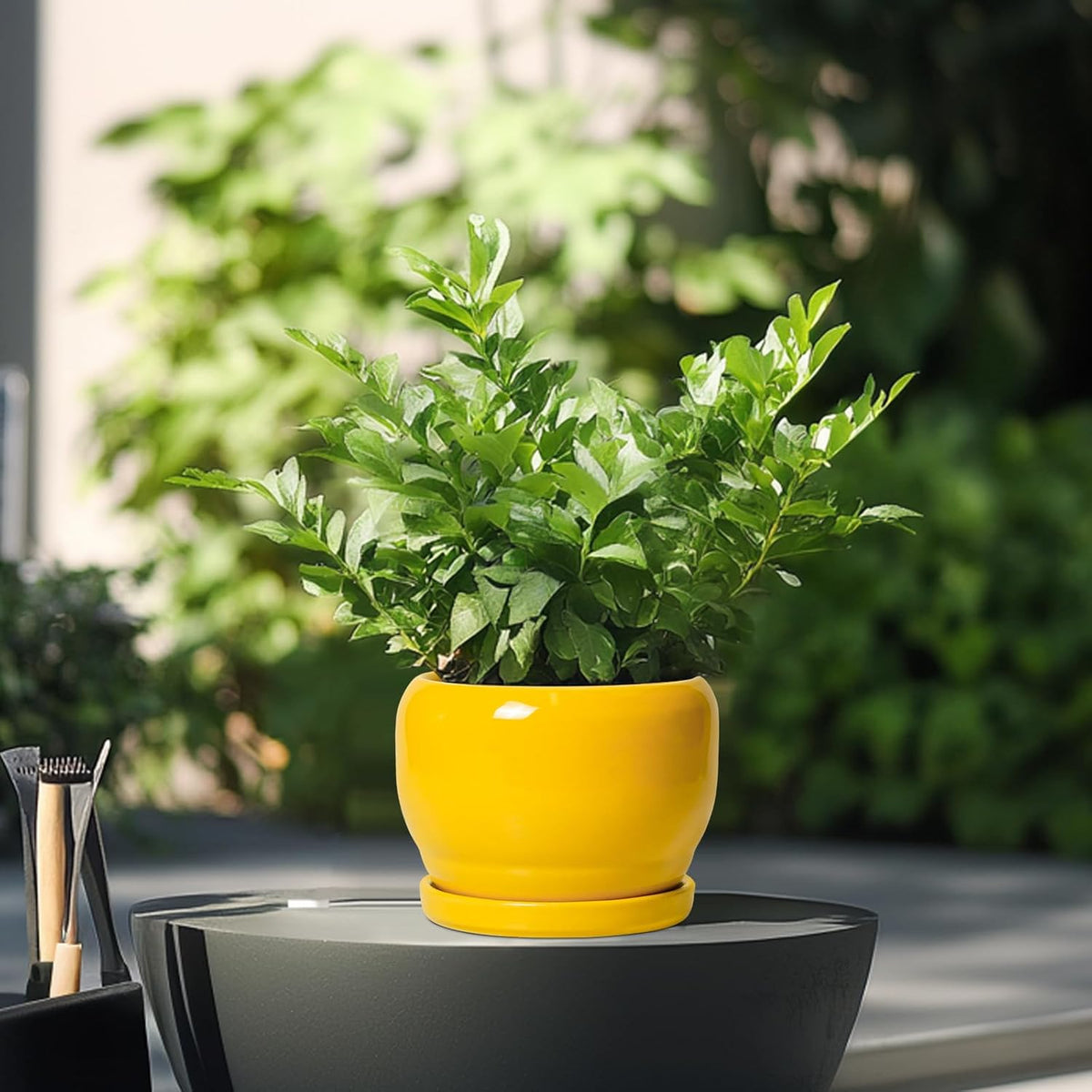 SQOWL 6 Inch Plant Pot - Ceramic Planter with Drainage Hole and Saucer, Modern Ceramic Flower Pots