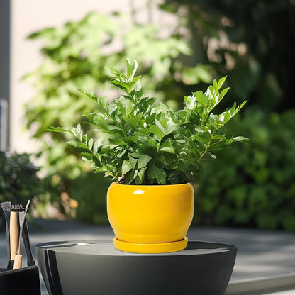 SQOWL 6 Inch Plant Pot - Ceramic Planter with Drainage Hole and Saucer, Modern Ceramic Flower Pots