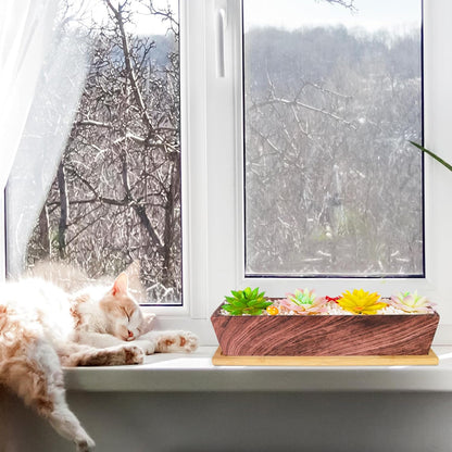 Succulent Pots - 12.1 Inch Large Succulent Pots with Drainage Tray, Window Sill Planter, Long
