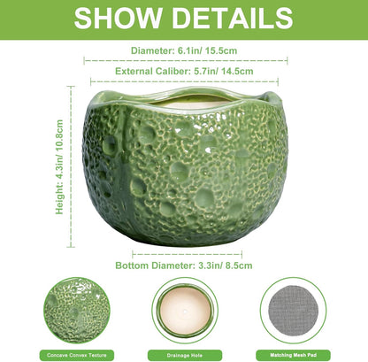 6 Inch Plant Pot - Orchid Pot with Drainage Hole, Ceramic Planter for Indoor Outdoor, Decorative